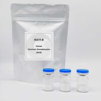 Korion gonadotropin HCG